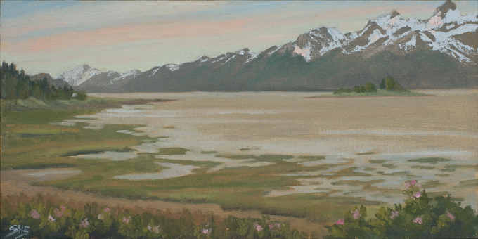 Chilkat River Valley