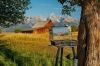 Susi's painting of the Mormon Way Barn in Teton National Park