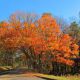 Fall colors along the Shenandoah Parkway in Virginia