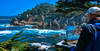 Point Lobos 03