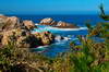 Point Lobos 14