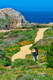 Point Lobos 15